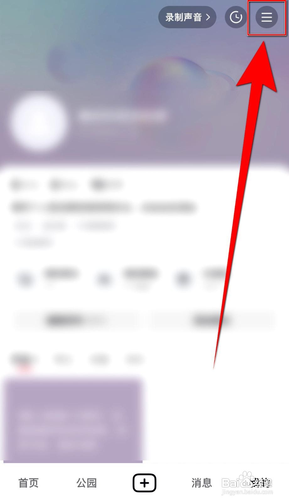 LesPark应用如何设置直播间实时翻译