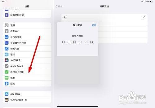 iPad Pro的面容ID怎样重新设置？