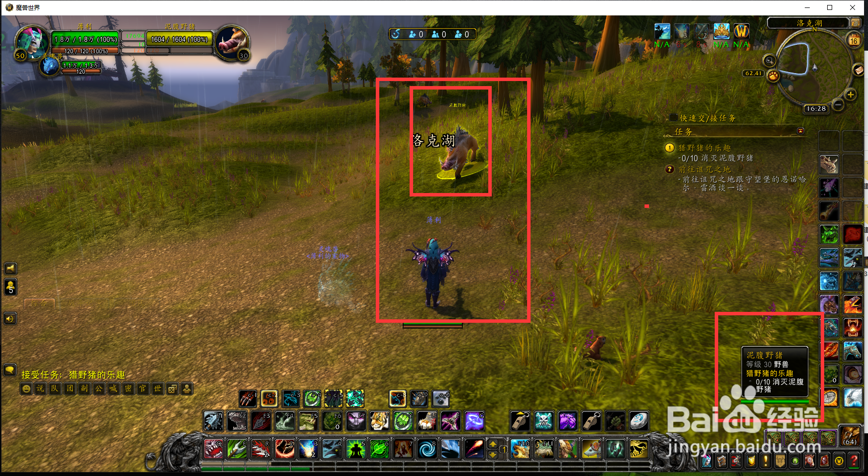 魔兽世界任务野猪的快乐怎么完成？