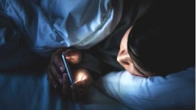 喝牛奶、品小酒、心中数羊真的能够助眠吗