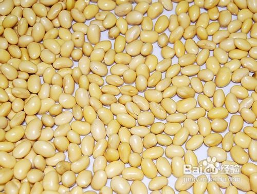 高三学生如何提高记忆力