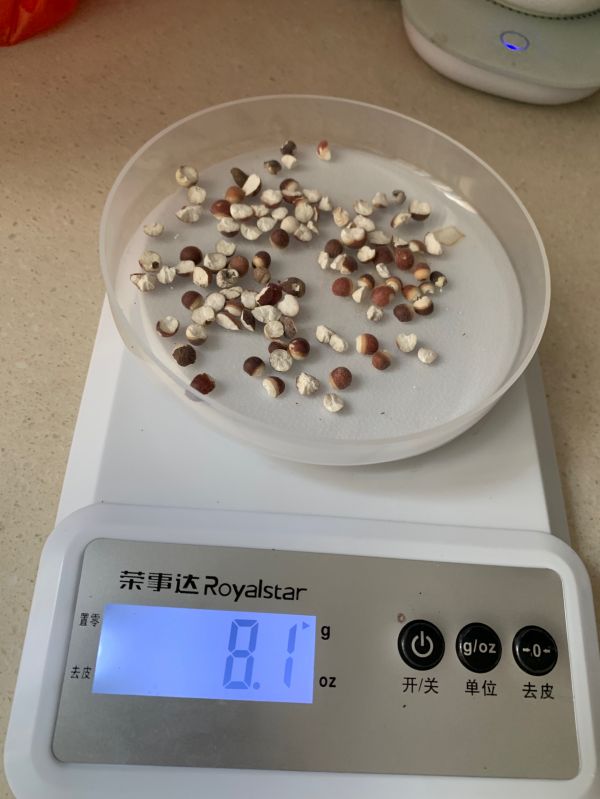 茯苓薏米莲子汤