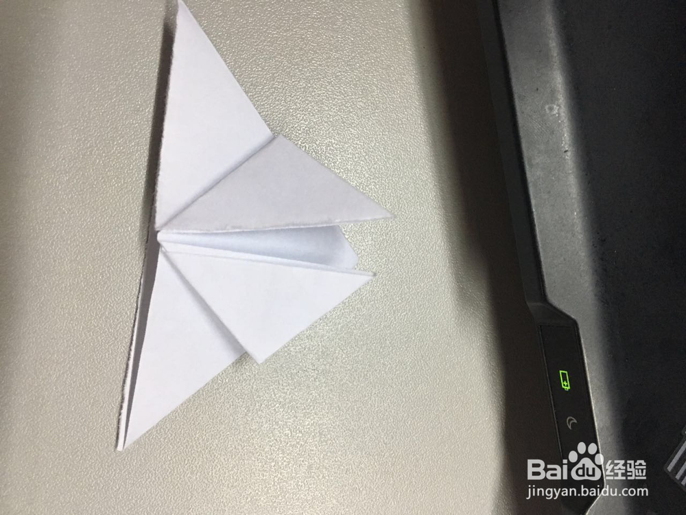 小萌物－－兔兔