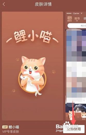 爱奇艺怎么更换皮肤