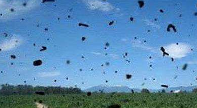 飞蚊症产生的原因及缓解方法