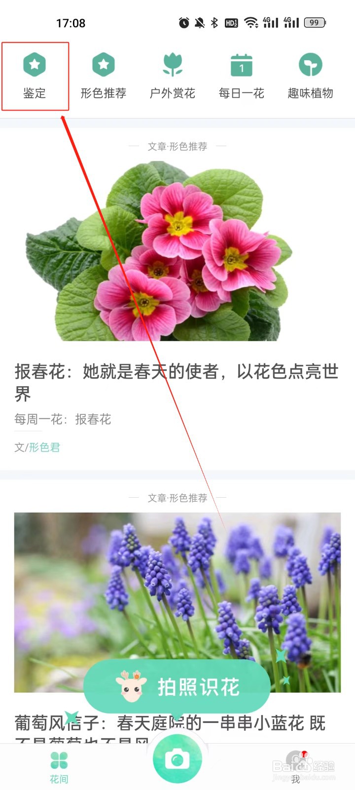 形色怎么贡献图片