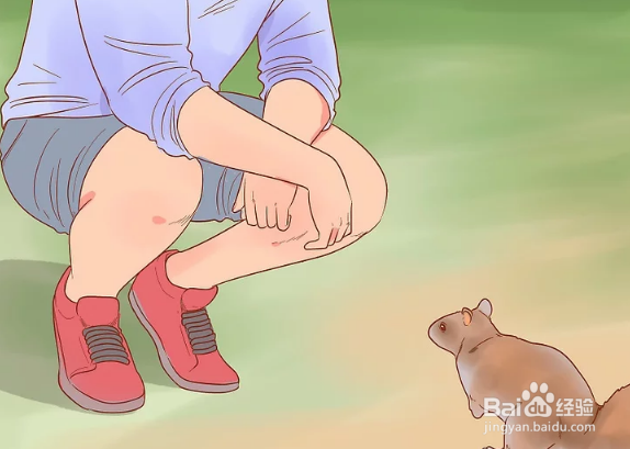 如何用手给松鼠喂食