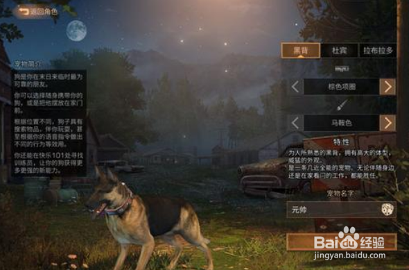 明日之后怎么实现别人孔明灯上的愿望