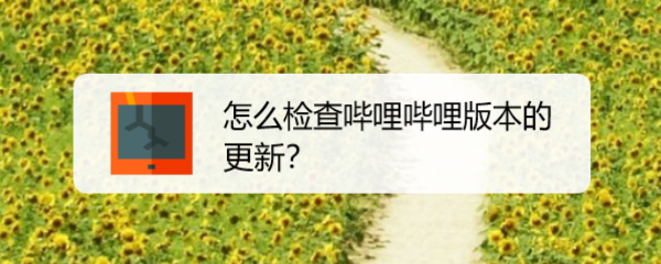 怎么检查哔哩哔哩版本的更新