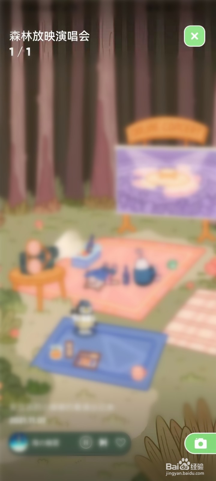 qq音乐宠物相册在哪里