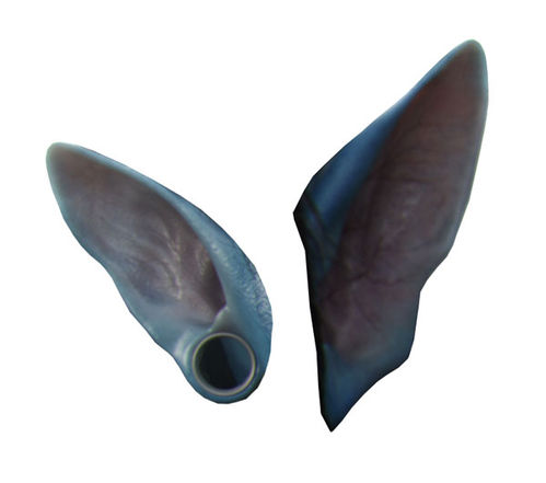 怎样把帅哥转成超酷的阿凡达