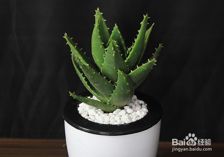 新车如何有效除味？