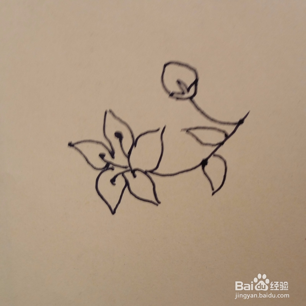 桔梗儿童手工简笔画教程