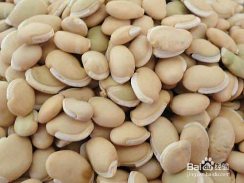 大肠湿热吃什么调理 大肠湿热的饮食宜忌