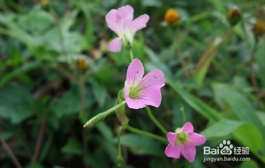 年轻人需做的10件事