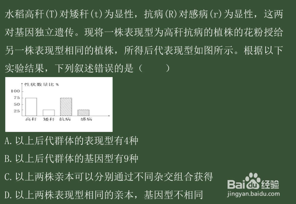 Camtasia Studio 4录制PowerPoint
