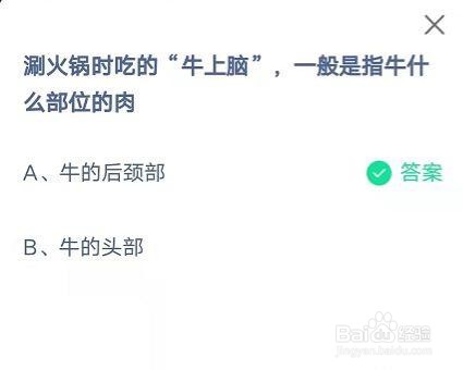 蚂蚁庄园牛上脑答案是什么呢