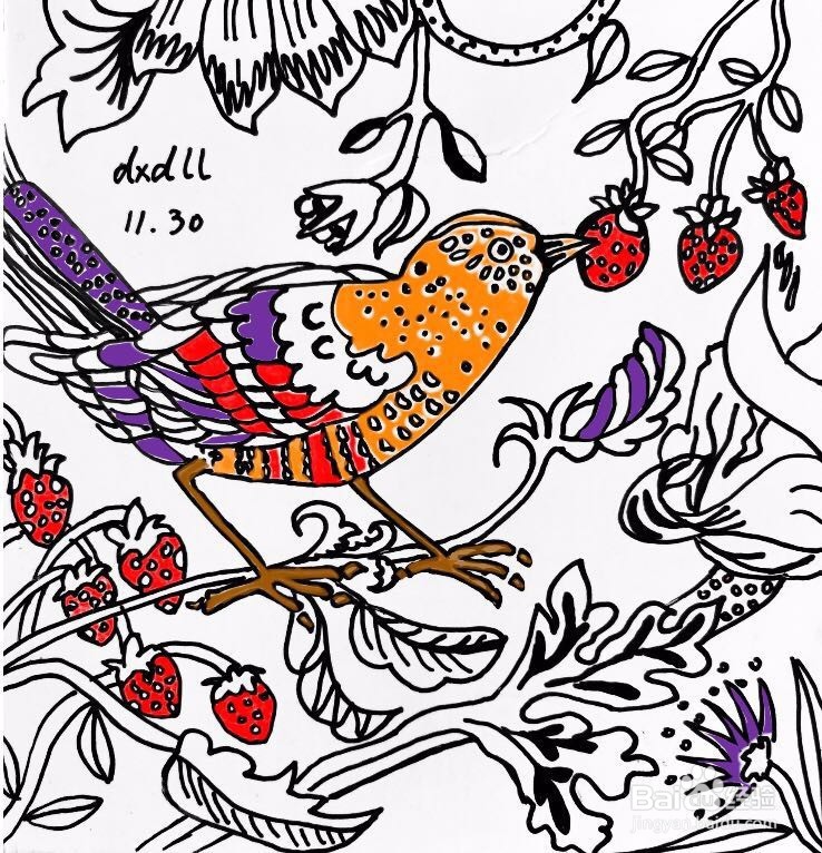 茉莉水彩手绘之富贵吉祥鸟