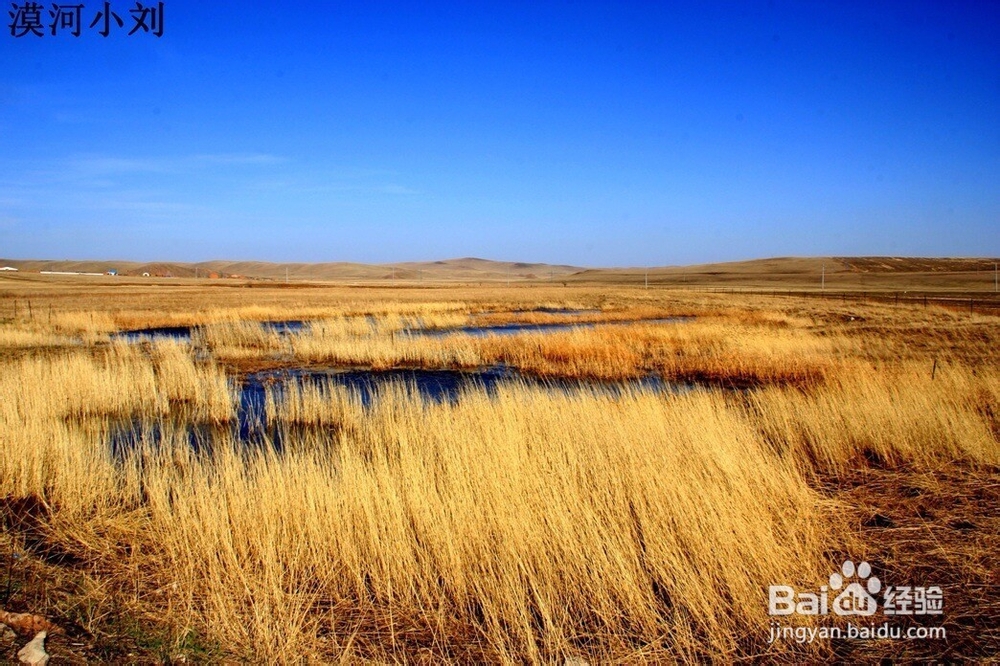 呼伦贝尔金秋草原