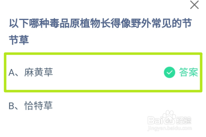 哪种毒品原植物长得像节节草蚂蚁庄园答案