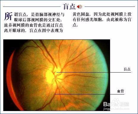 科学小实验:硬币的多种玩法