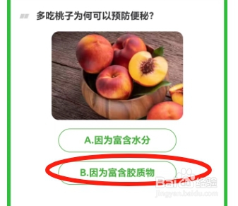 多吃桃子为何可以预防便秘?芭芭农场2024.10.10