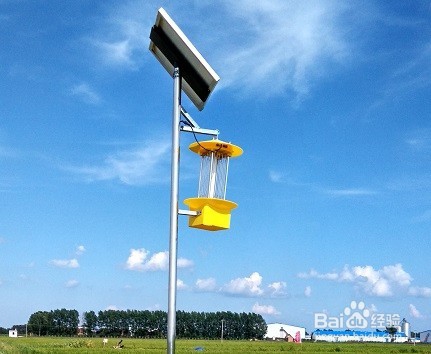 农用杀虫灯解决的三大问题