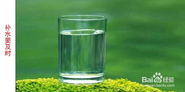 踏春的方法与注意事项