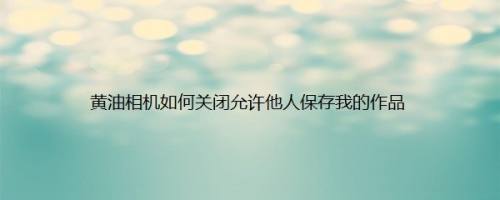 黄油相机如何关闭允许他人保存我的作品
