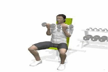 如何练好健身动作之肩部肌肉动作，超详细gif版