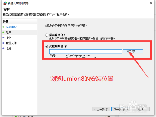 Lumion8设置防火墙