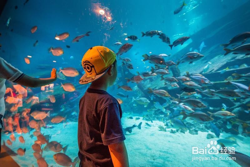 新加坡旅游简记19