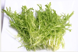 日月贝苦菊沙拉