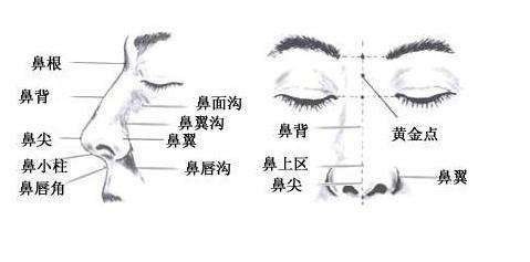 没有基础怎么开始学画画