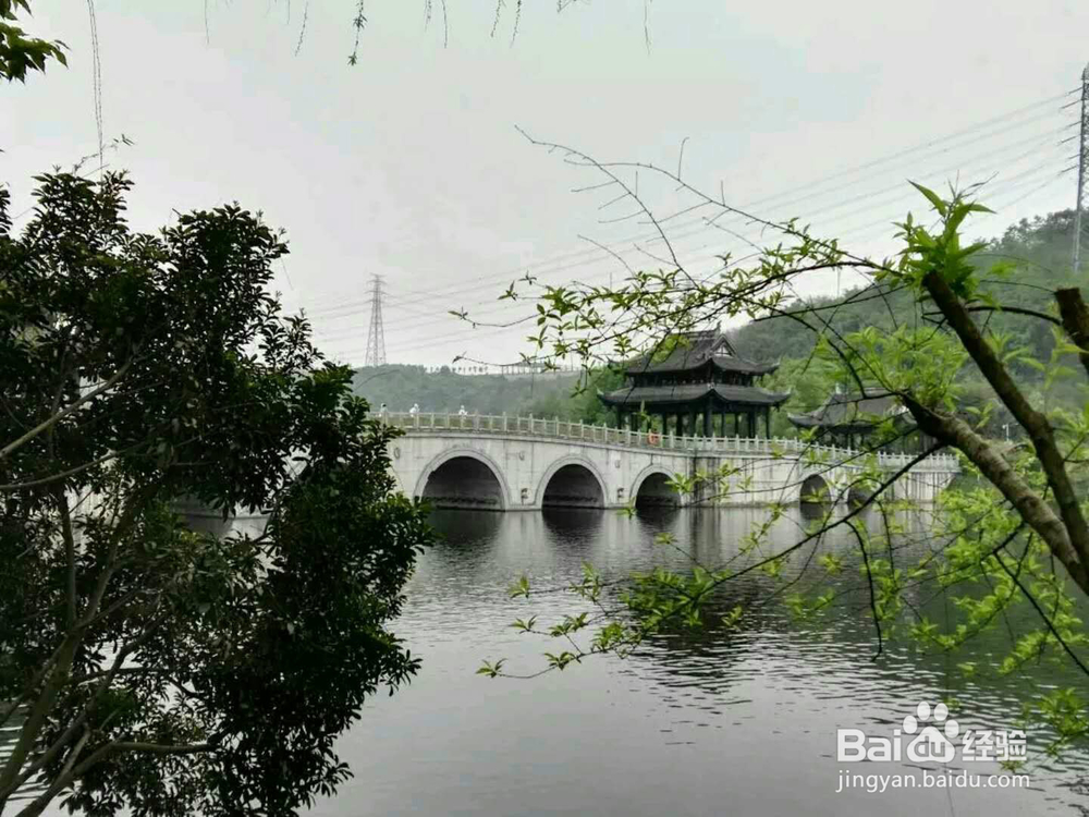 北京园博园体现了各种文化与景观、还免门票欣赏
