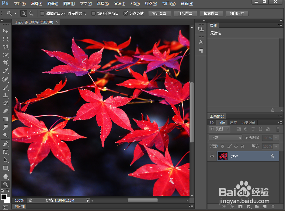给文字添加浮雕和外发光效果