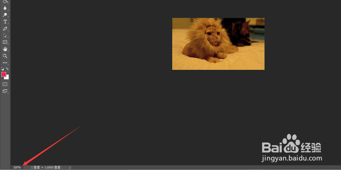Photoshop CC 2018怎么缩放图层