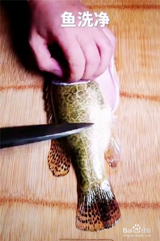 如何制作清蒸鲈鱼