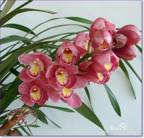 【PS】场景模糊的使用技巧