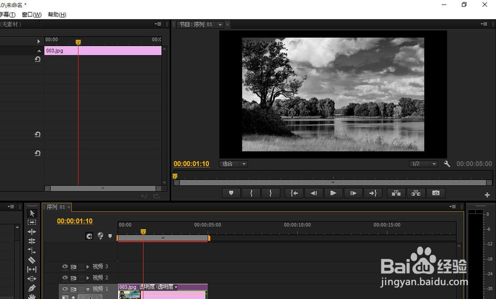 pr里怎么把图片变成黑白