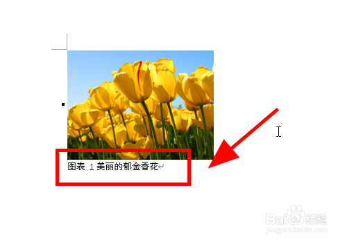 Word文档中怎么给图片添加标注注解信息