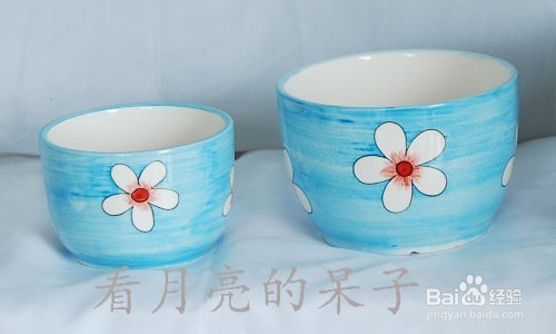 怎么种植和养殖花草