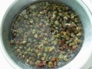 麻辣碗约麻辣酱香田螺的做法