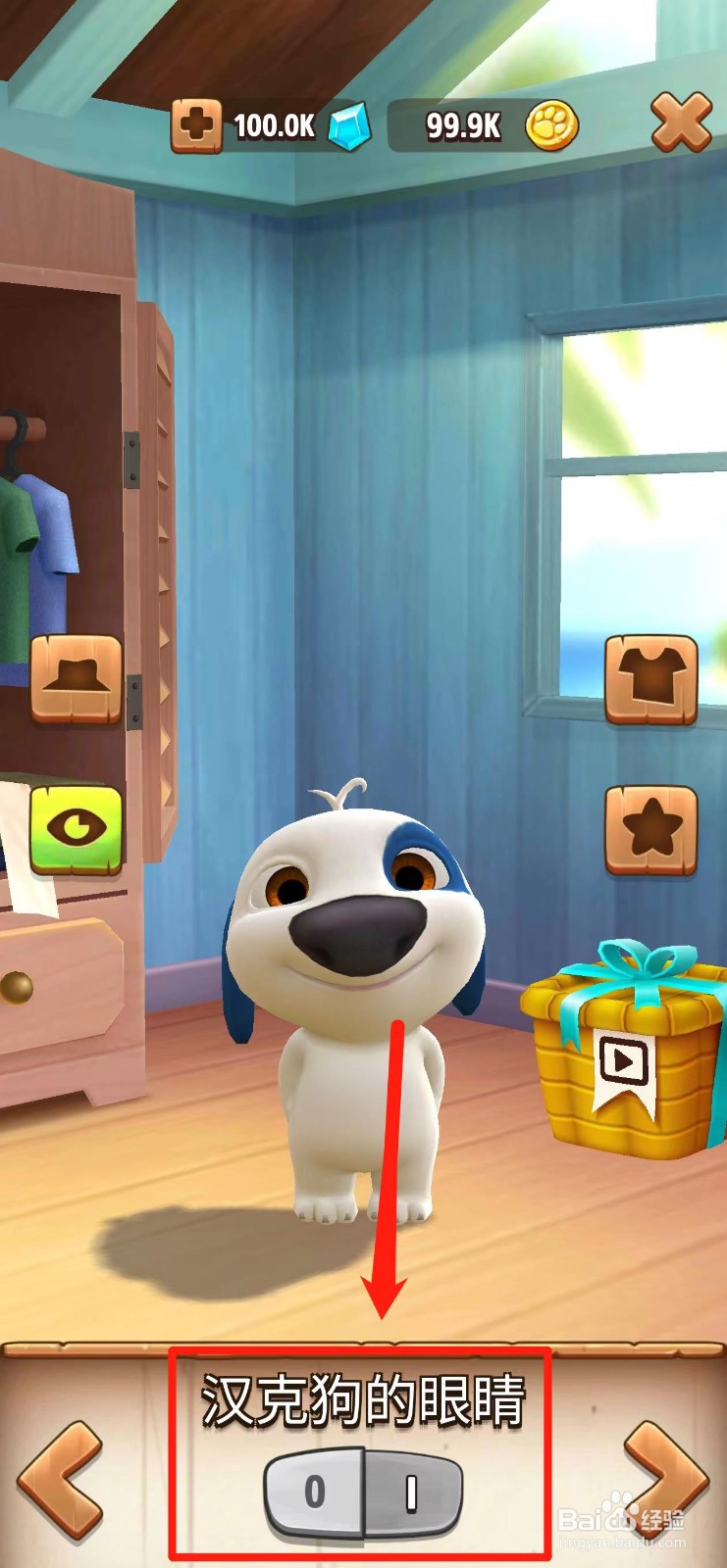 我的汉克狗怎样试戴【汉克狗的眼睛】