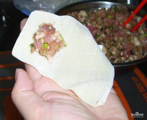 香菜肉馅大馄饨