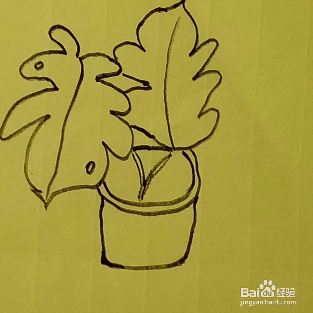 芭蕉叶幼儿简笔画