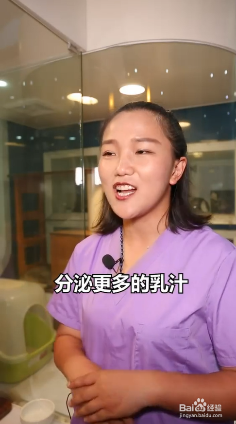 猫咪为什么喜欢踩奶