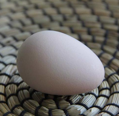 珍珠鸡蛋的作用