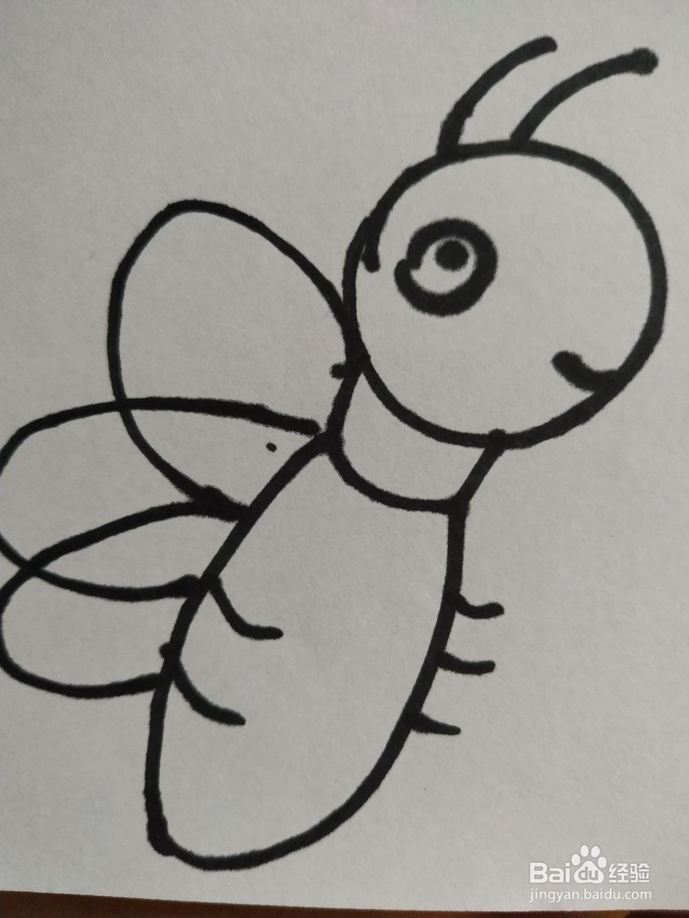 蜜蜂的简笔画技法9
