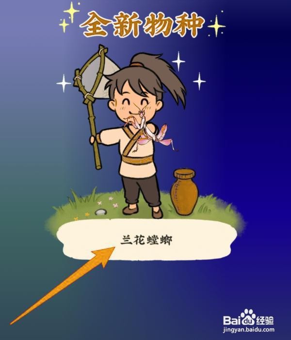 仙山小农怎么捕捉兰花螳螂